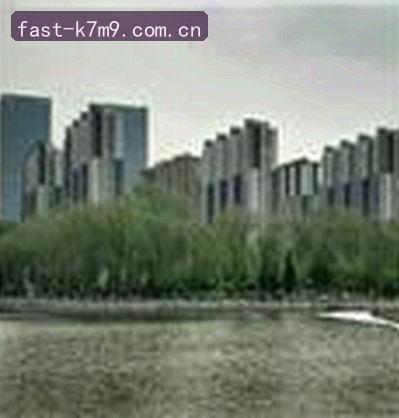 郑丽
